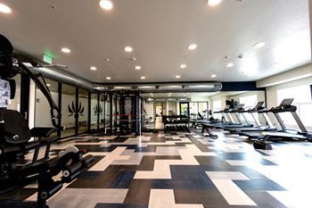 A gym with treadmills and elliptical machines.